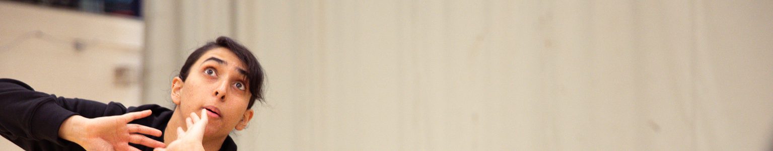 Motivation in Youth Sport