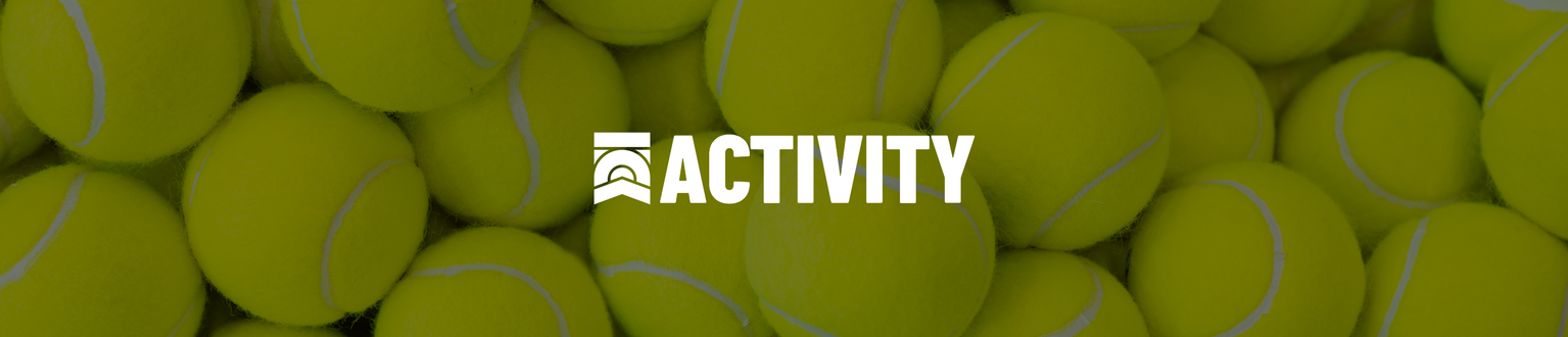 ACTIVITY IMAGES 17 Ball tag