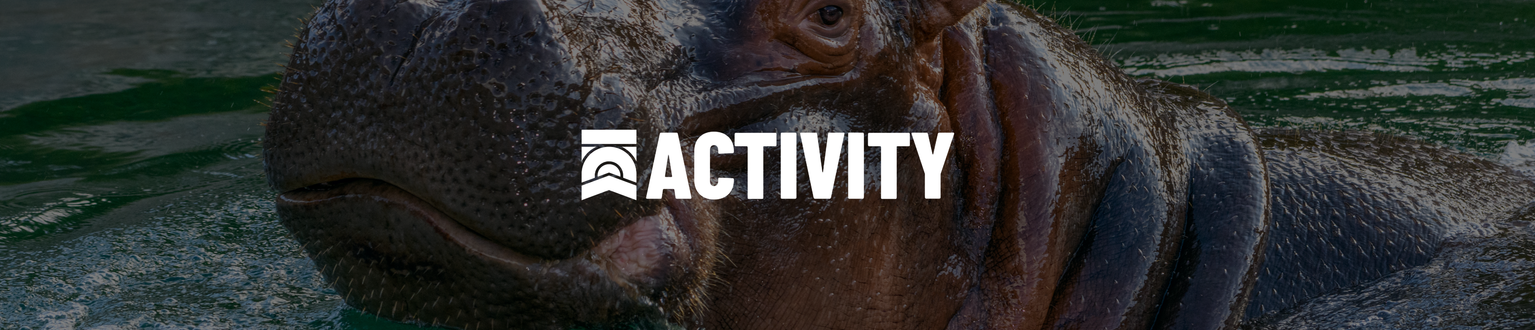 ACTIVITY IMAGES 21 hungry hippos