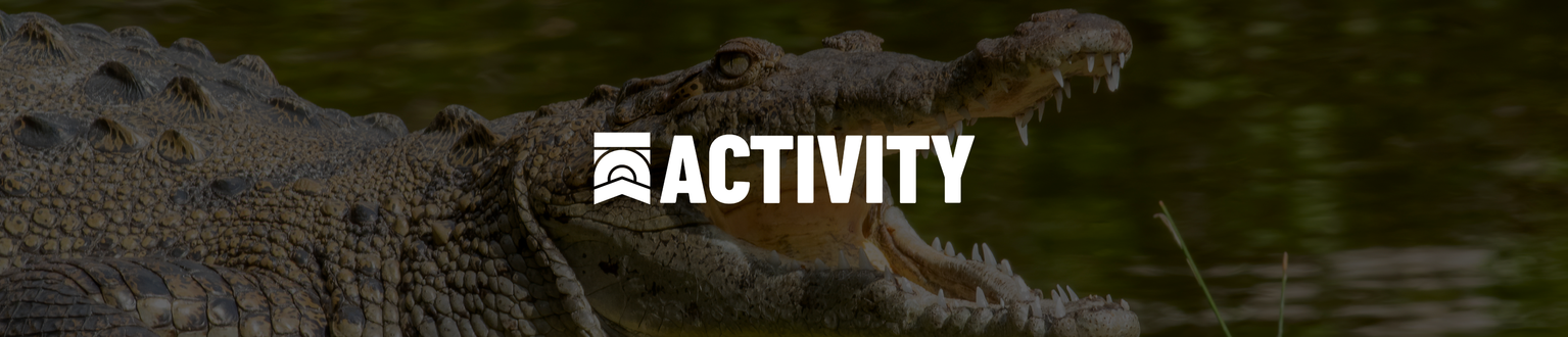 ACTIVITY IMAGES 3 Crocs in the River