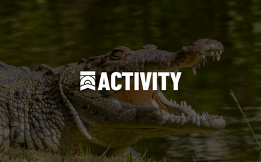 ACTIVITY IMAGES 3 Crocs in the River