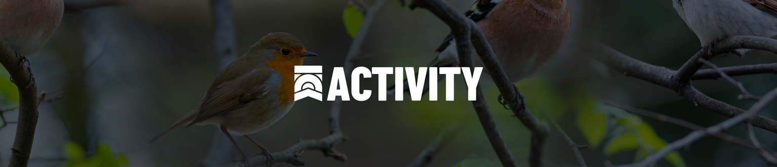 ACTIVITY IMAGES 5 Birdie in the middle