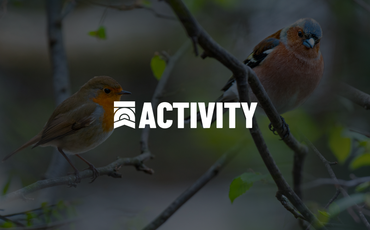 ACTIVITY IMAGES 5 Birdie in the middle