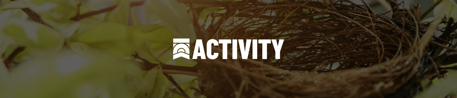 ACTIVITY IMAGES 6 Rob the Nest