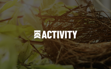 ACTIVITY IMAGES 6 Rob the Nest